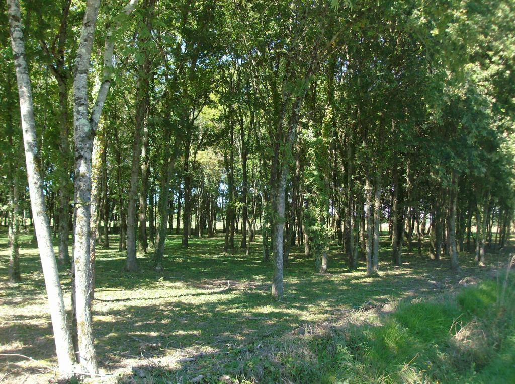 Le Chalet Des 4 Saisons Panzió Mers-sur-Indre Kültér fotó